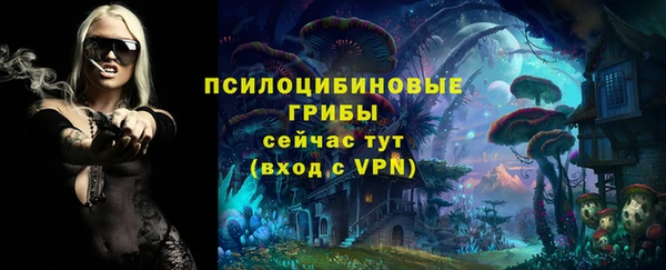 герыч Абаза