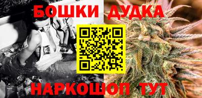 мдпв Камышлов