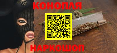 мдпв Камышлов