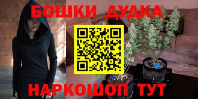 мдпв Камышлов