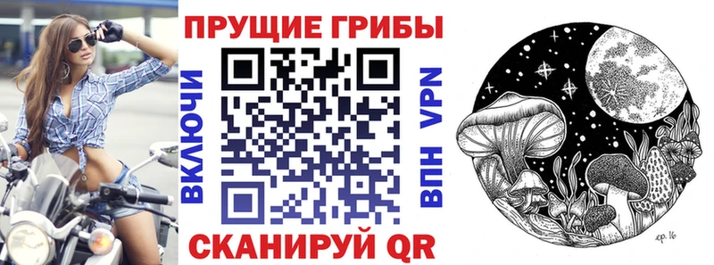 дарнет шоп  Магадан  Псилоцибиновые грибы мухоморы 