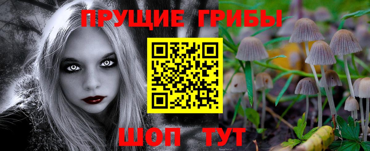 Псилоцибиновые грибы Psilocybine cubensis Магадан
