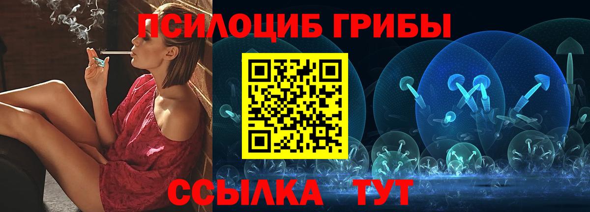 хочу наркоту  Псилоцибиновые грибы мицелий  Вход с VPN  Магадан 